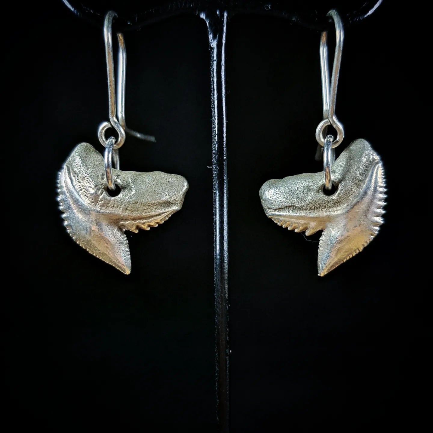 Tiger Shark Earrings