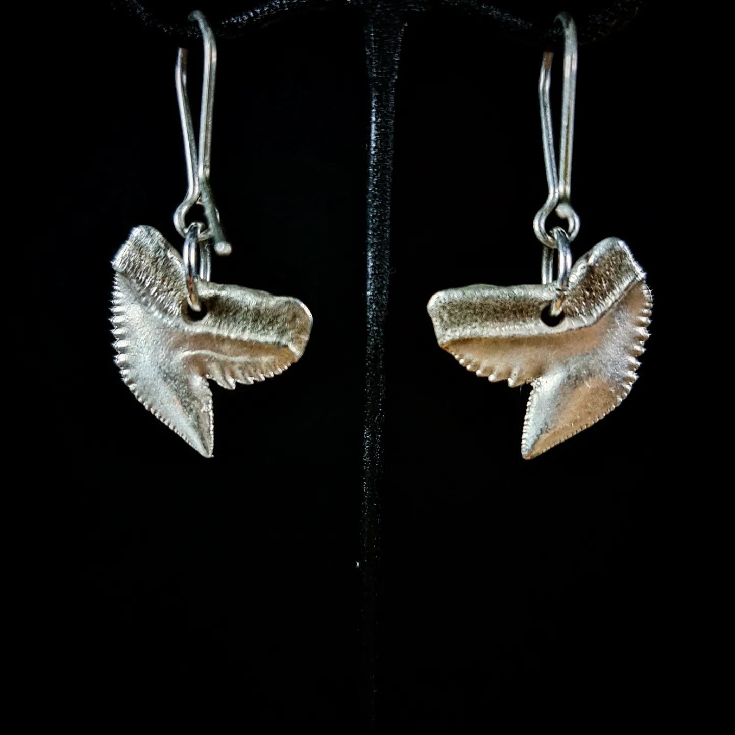 Tiger Shark Earrings