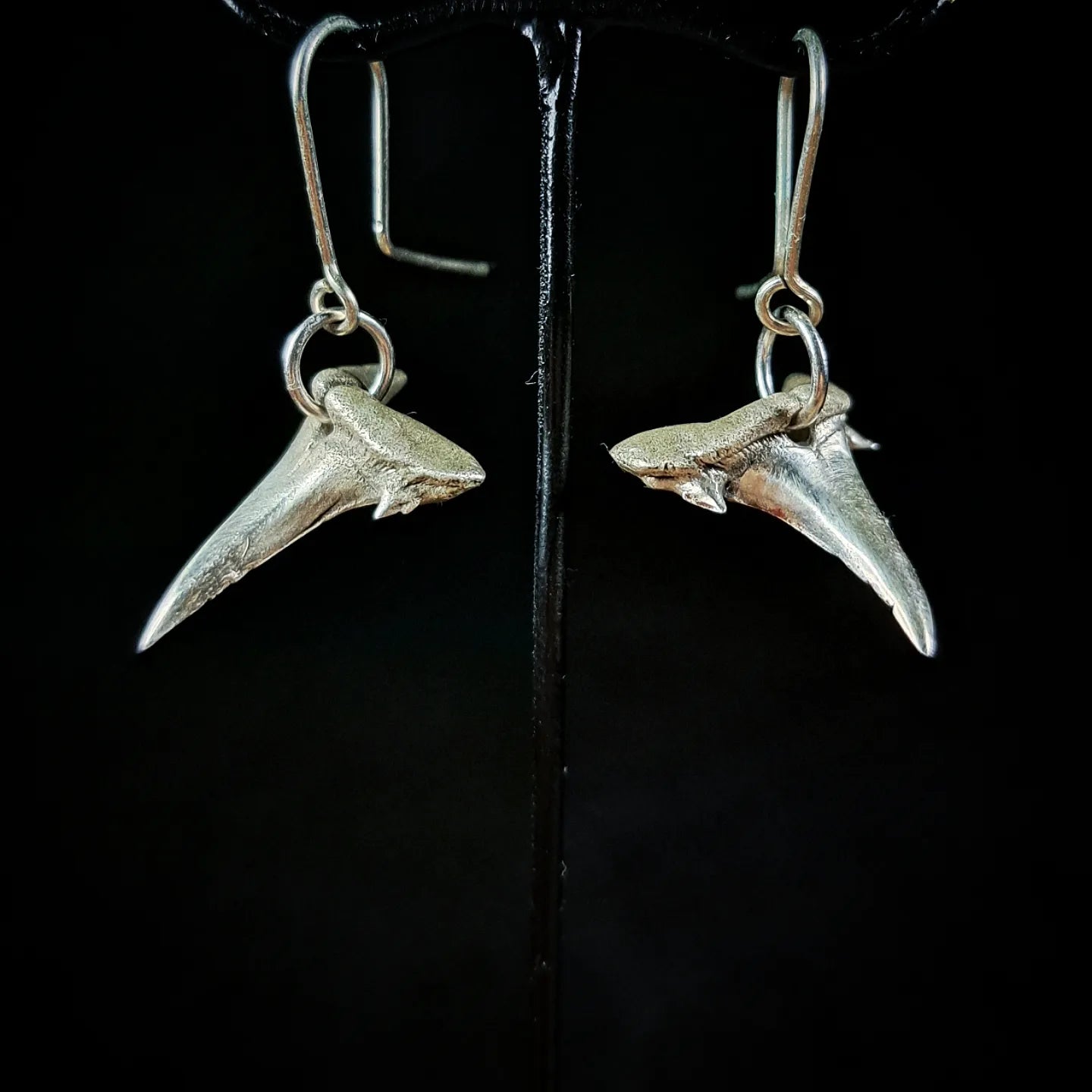 Porbeagle Shark Earrings