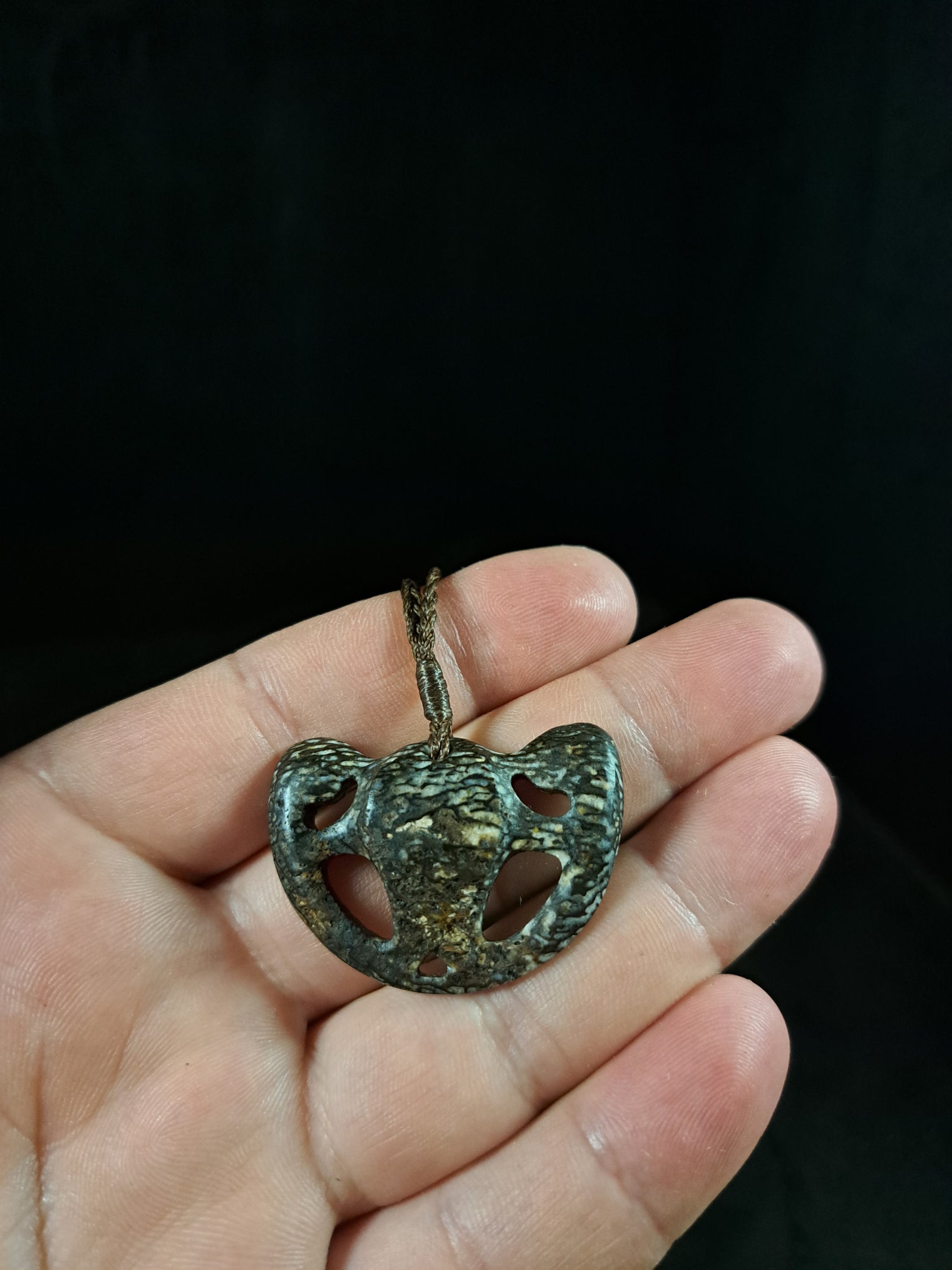 Kabutops Skull - Dinosaur Bone