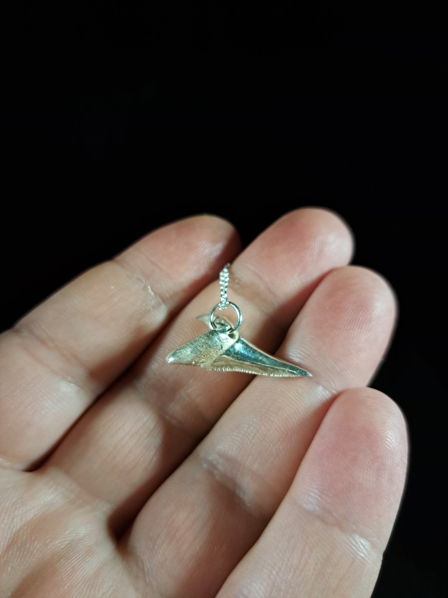Mako Shark Tooth Pendant