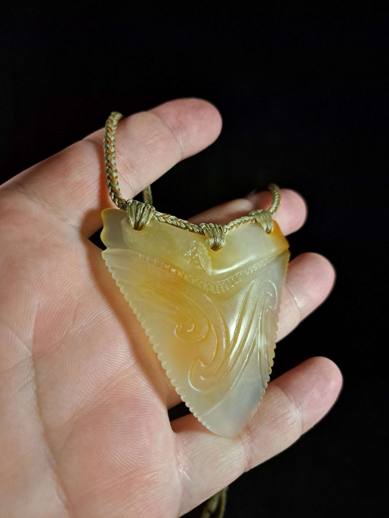 Megalodon Tooth - Puhoro - Carnelian