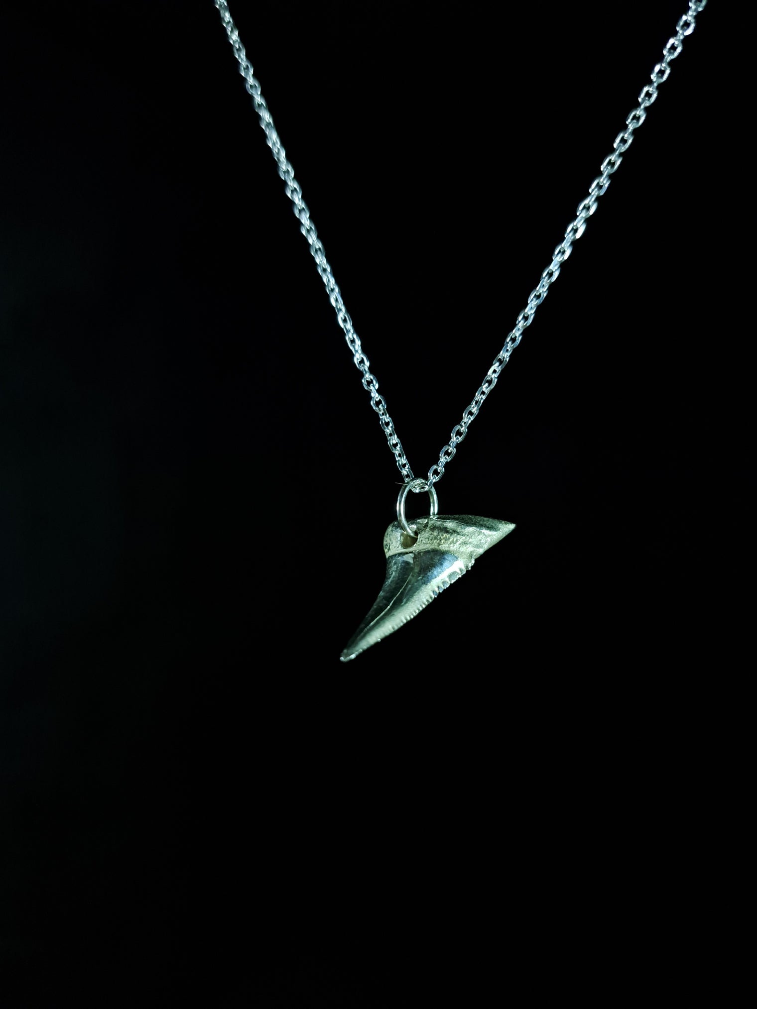 Mako Shark Tooth Pendant