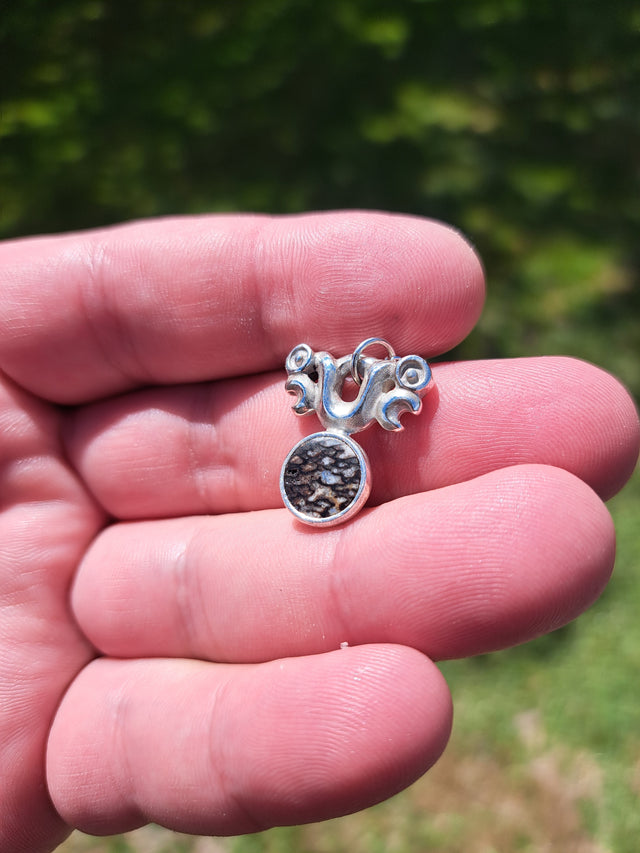 Silver Pekapeka - Dinosaur Bone Disc