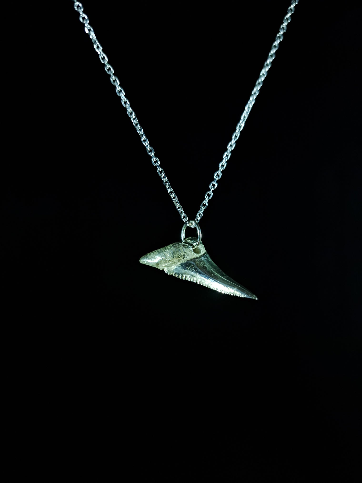 Mako Shark Tooth Pendant