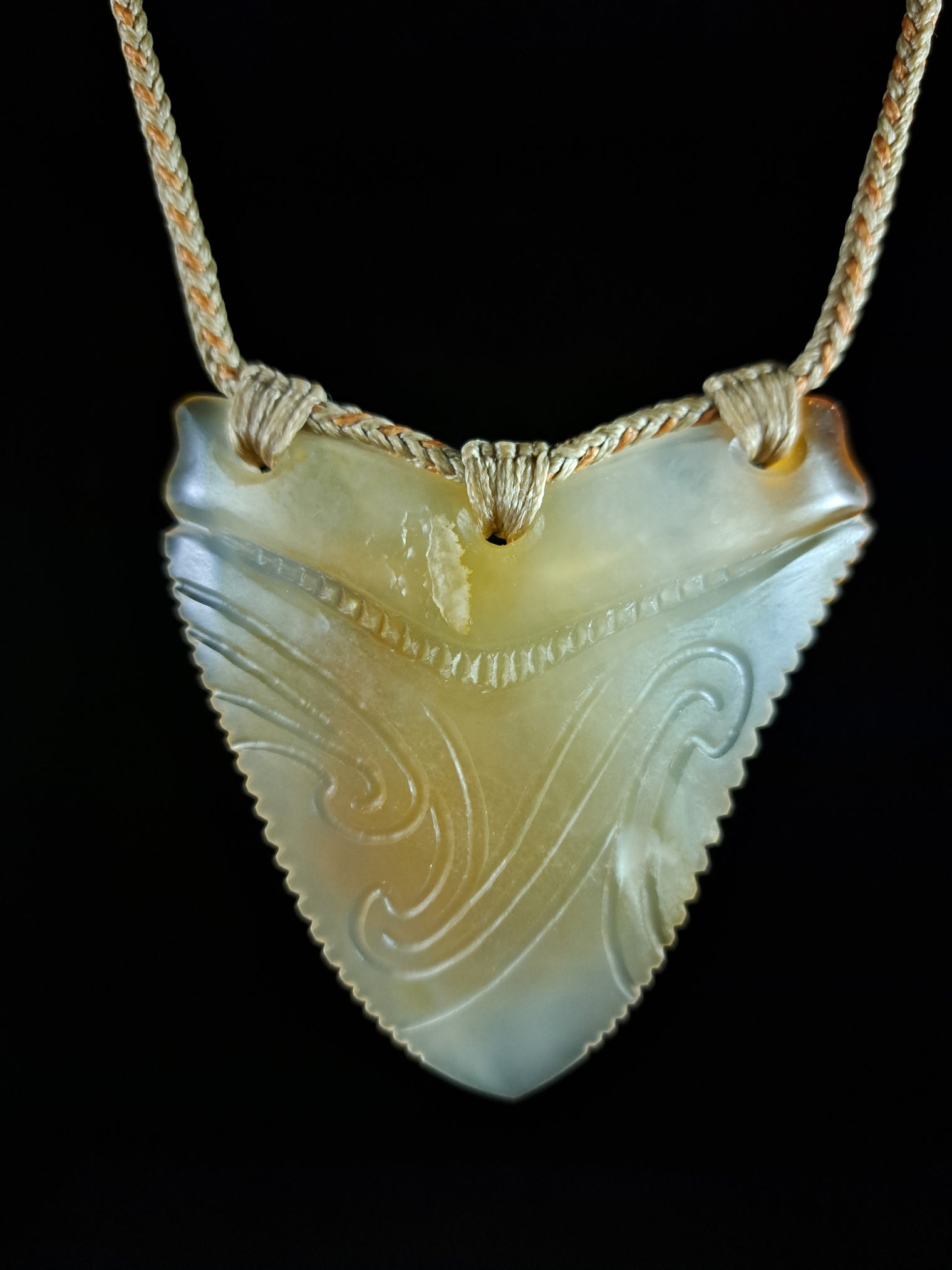 Megalodon Tooth - Puhoro - Carnelian