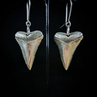 Great White Shark Earrings