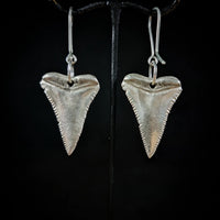 Great White Shark Earrings