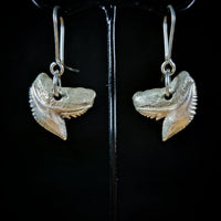 Tiger Shark Earrings
