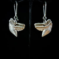 Tiger Shark Earrings