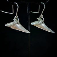 Mako Shark Earrings