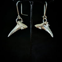 Porbeagle Shark Earrings
