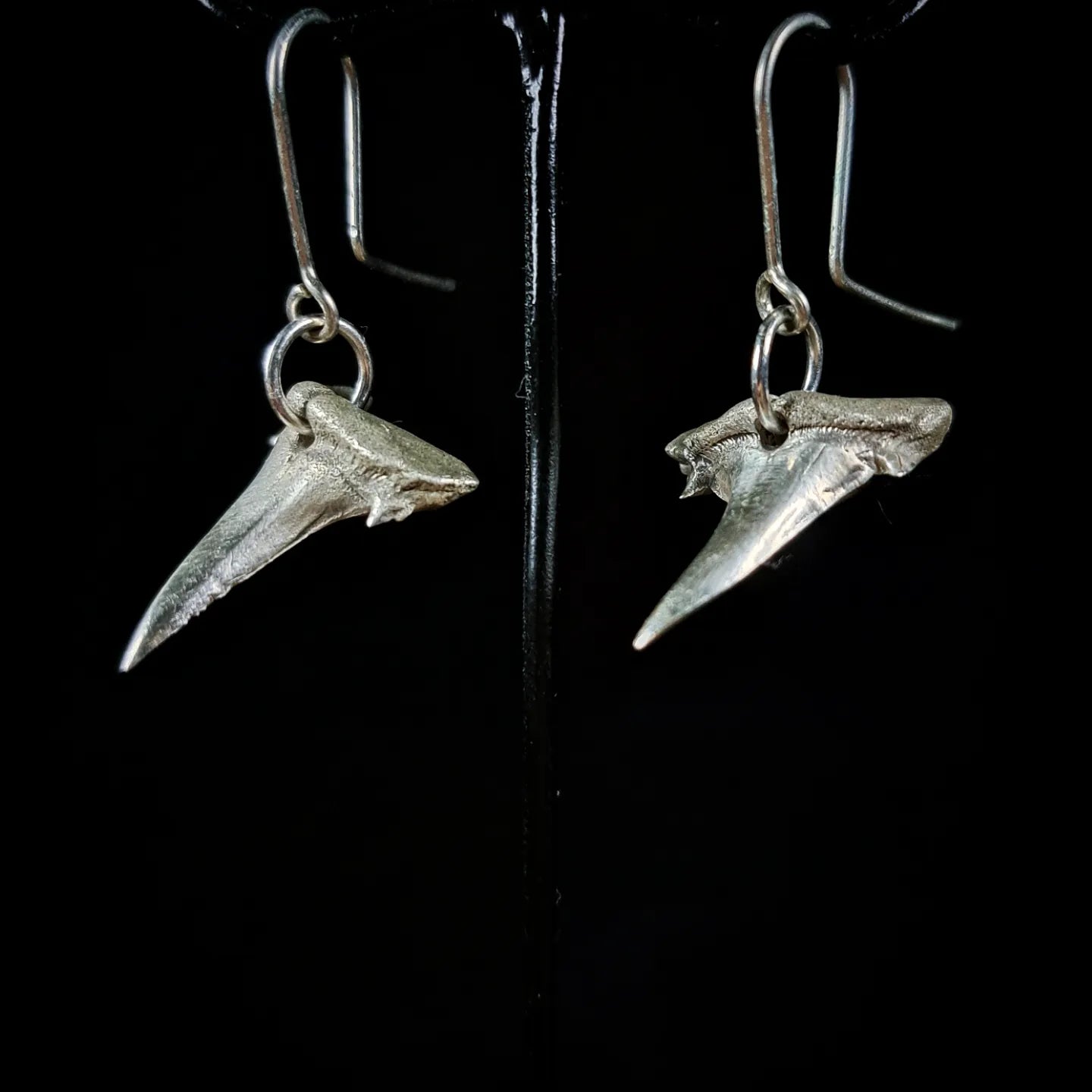 Porbeagle Shark Earrings