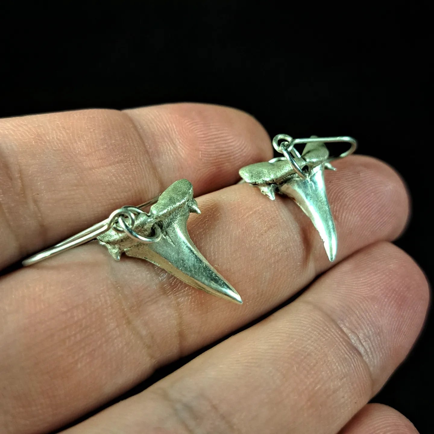 Porbeagle Shark Earrings