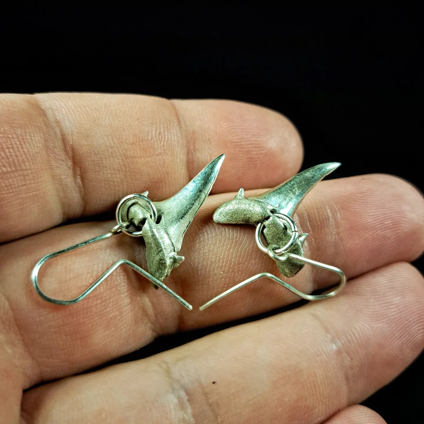 Porbeagle Shark Earrings