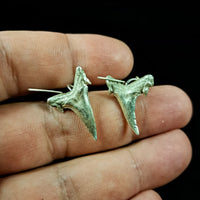Porbeagle Shark Earrings