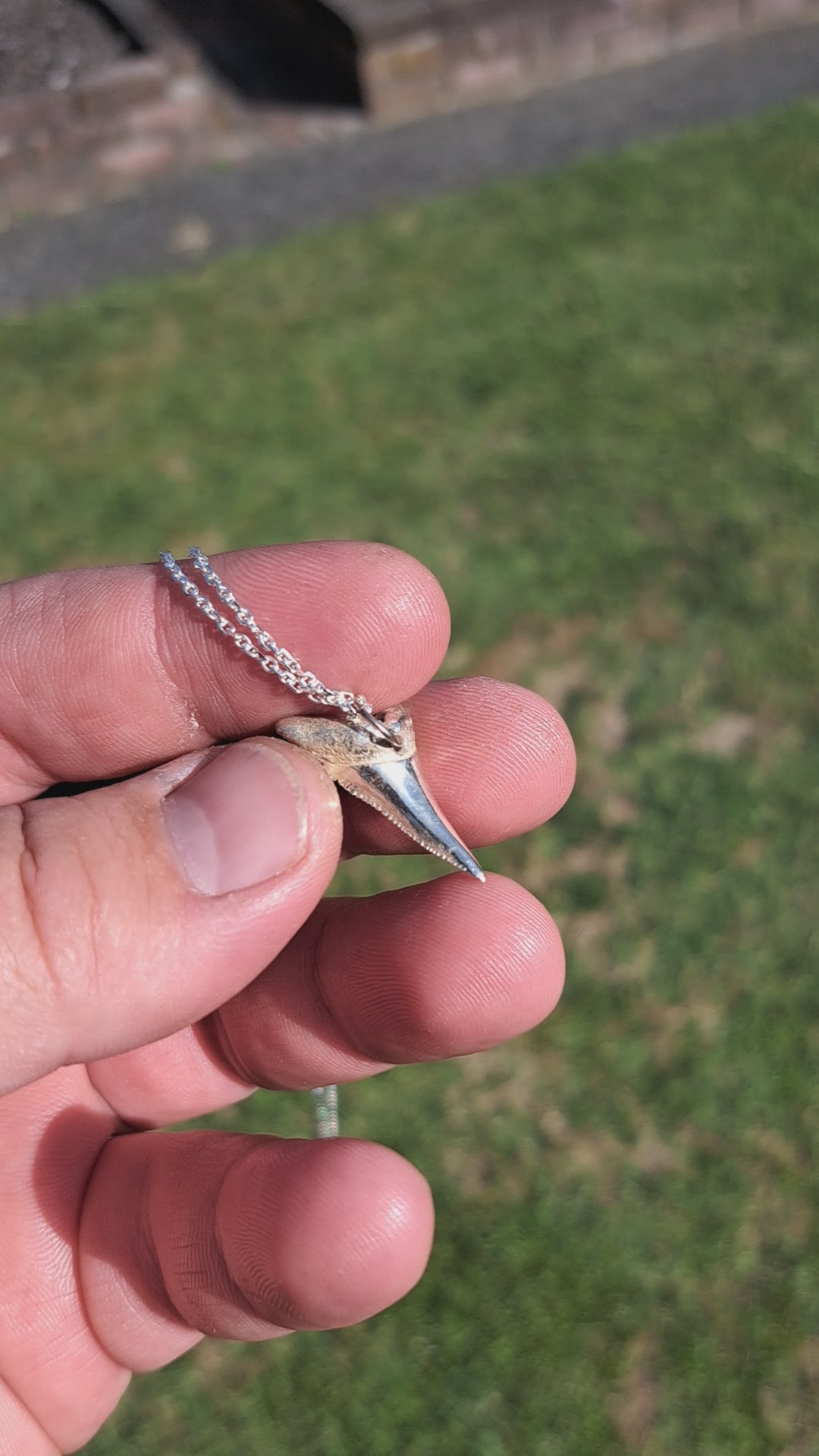 Mako Shark Tooth Pendant