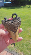 Megalodon Tooth Fossil - XL