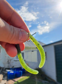 Kapeu Earrings - Customary Teethers