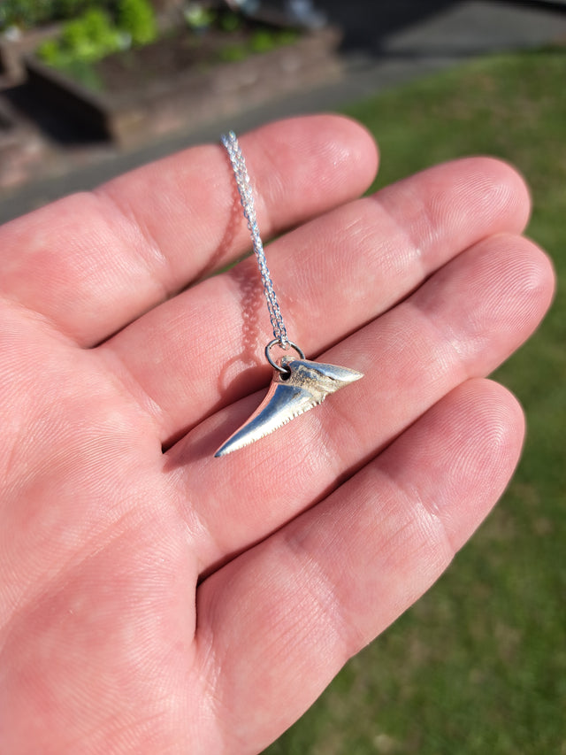 Mako Shark Tooth Pendant