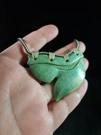 Tiger Shark Tooth Pendant