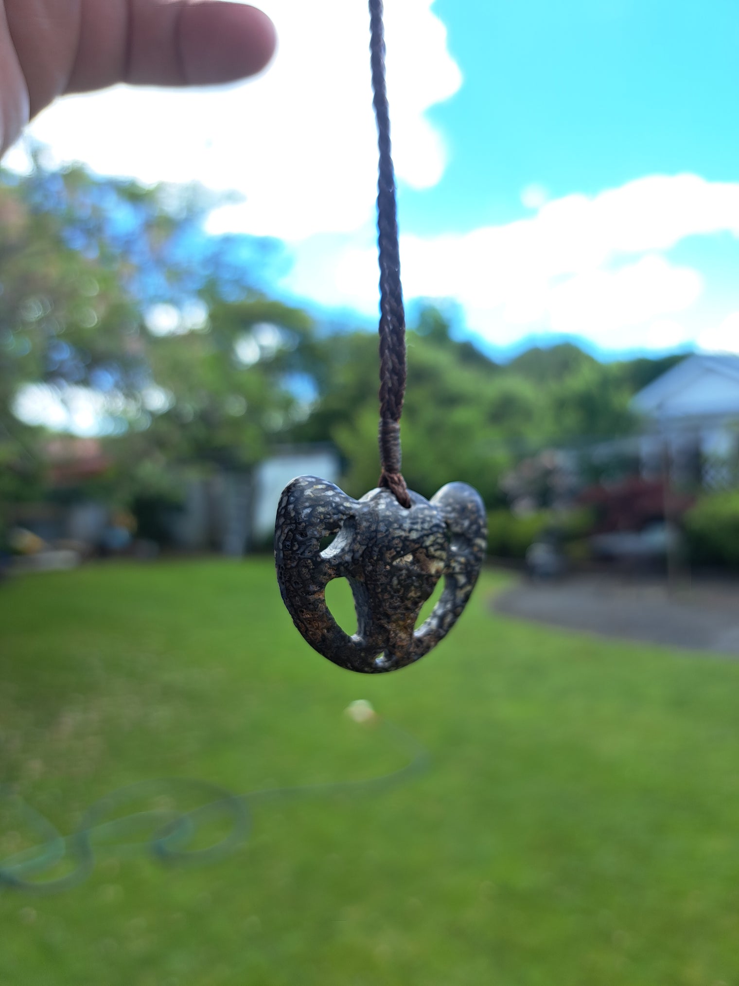 Kabutops Skull - Dinosaur Bone