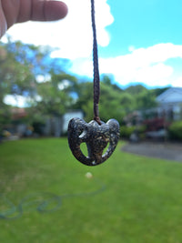 Kabutops Skull - Dinosaur Bone