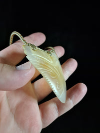 Megalodon Tooth - Puhoro - Carnelian