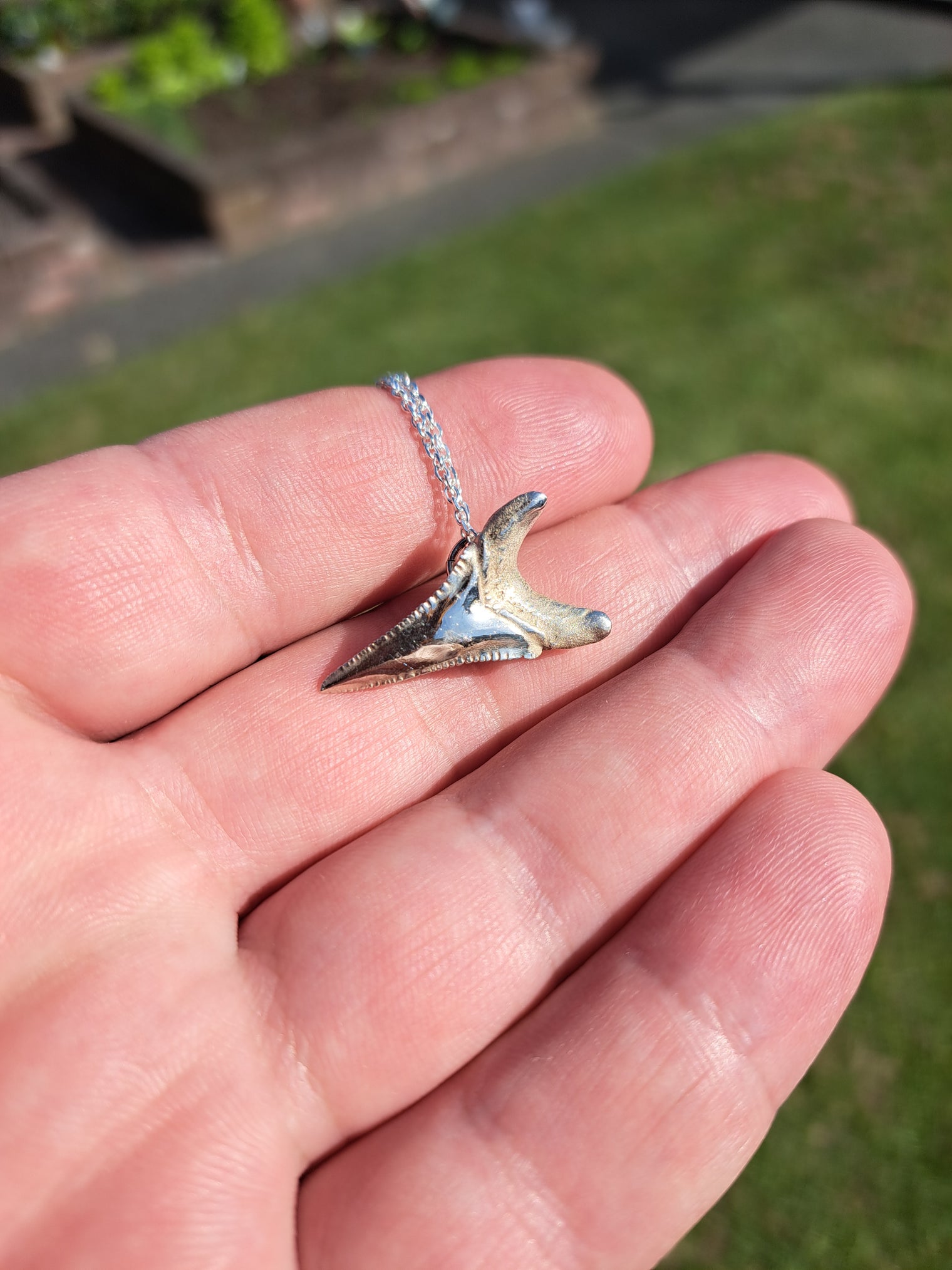 Mako Shark Tooth Pendant