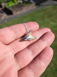 Mako Shark Tooth Pendant