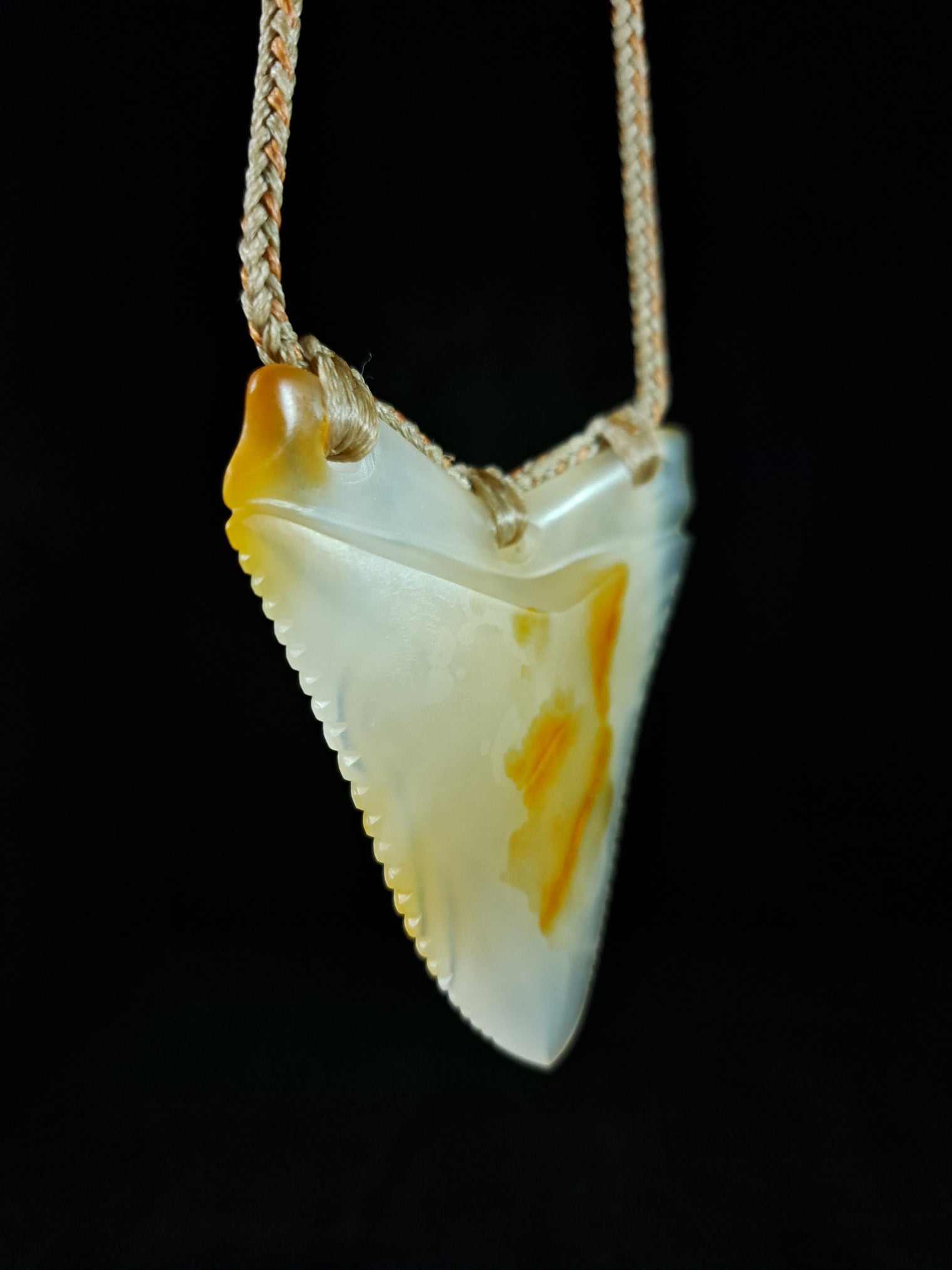 Megalodon Tooth - Puhoro - Carnelian