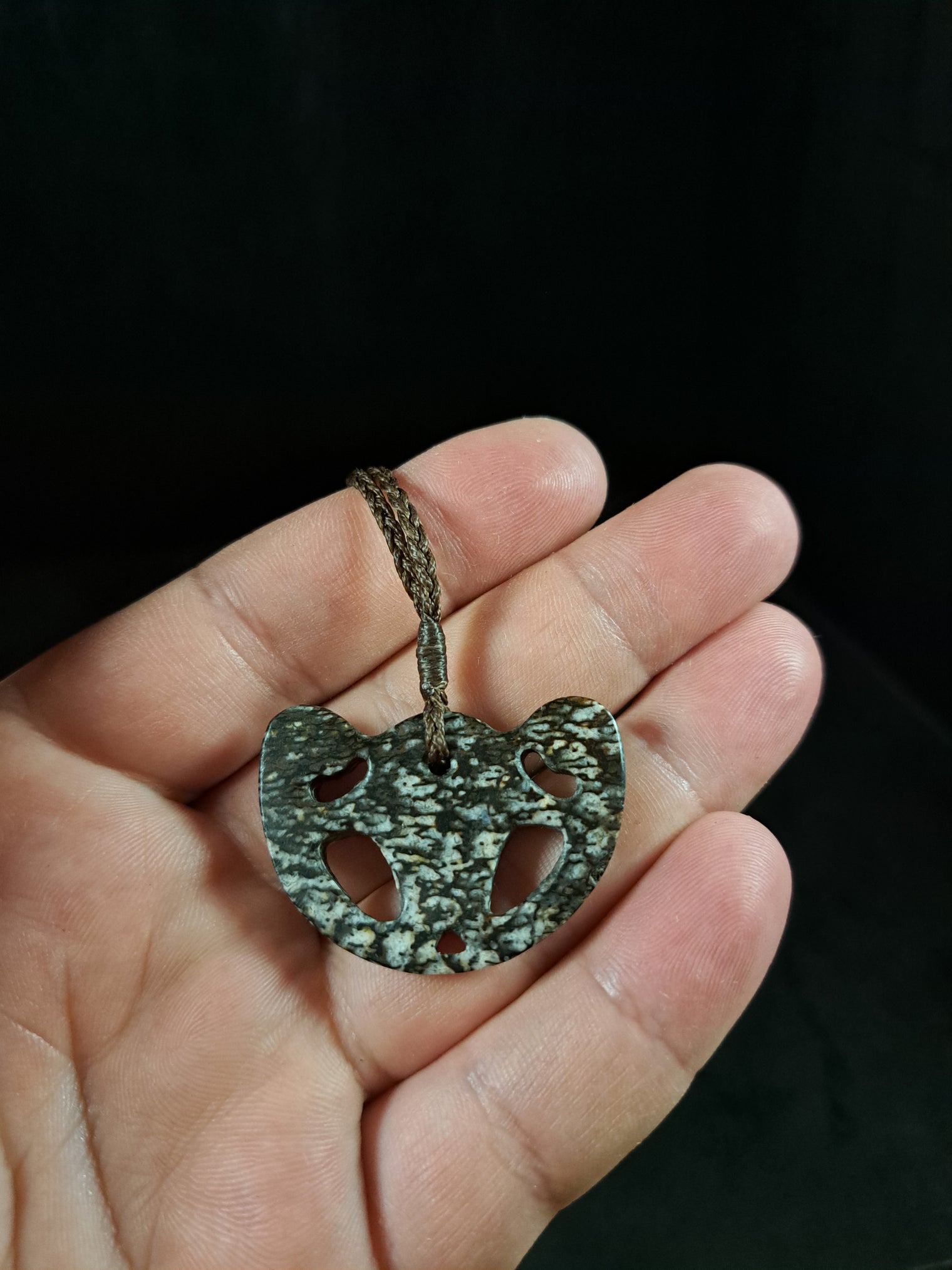 Kabutops Skull - Dinosaur Bone