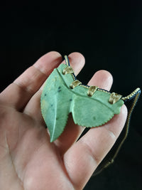 Tiger Shark Tooth Pendant