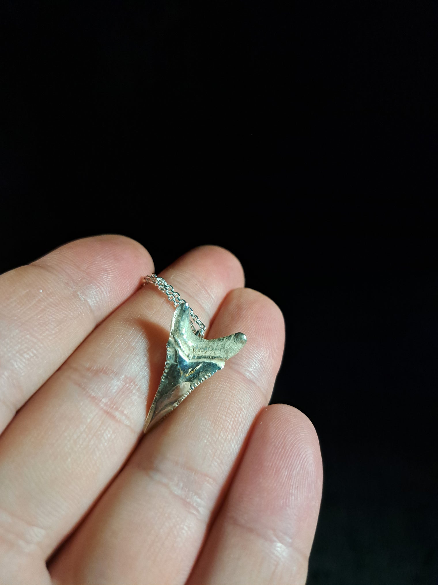 Mako Shark Tooth Pendant