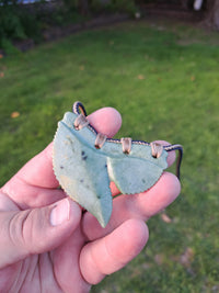 Tiger Shark Tooth Pendant