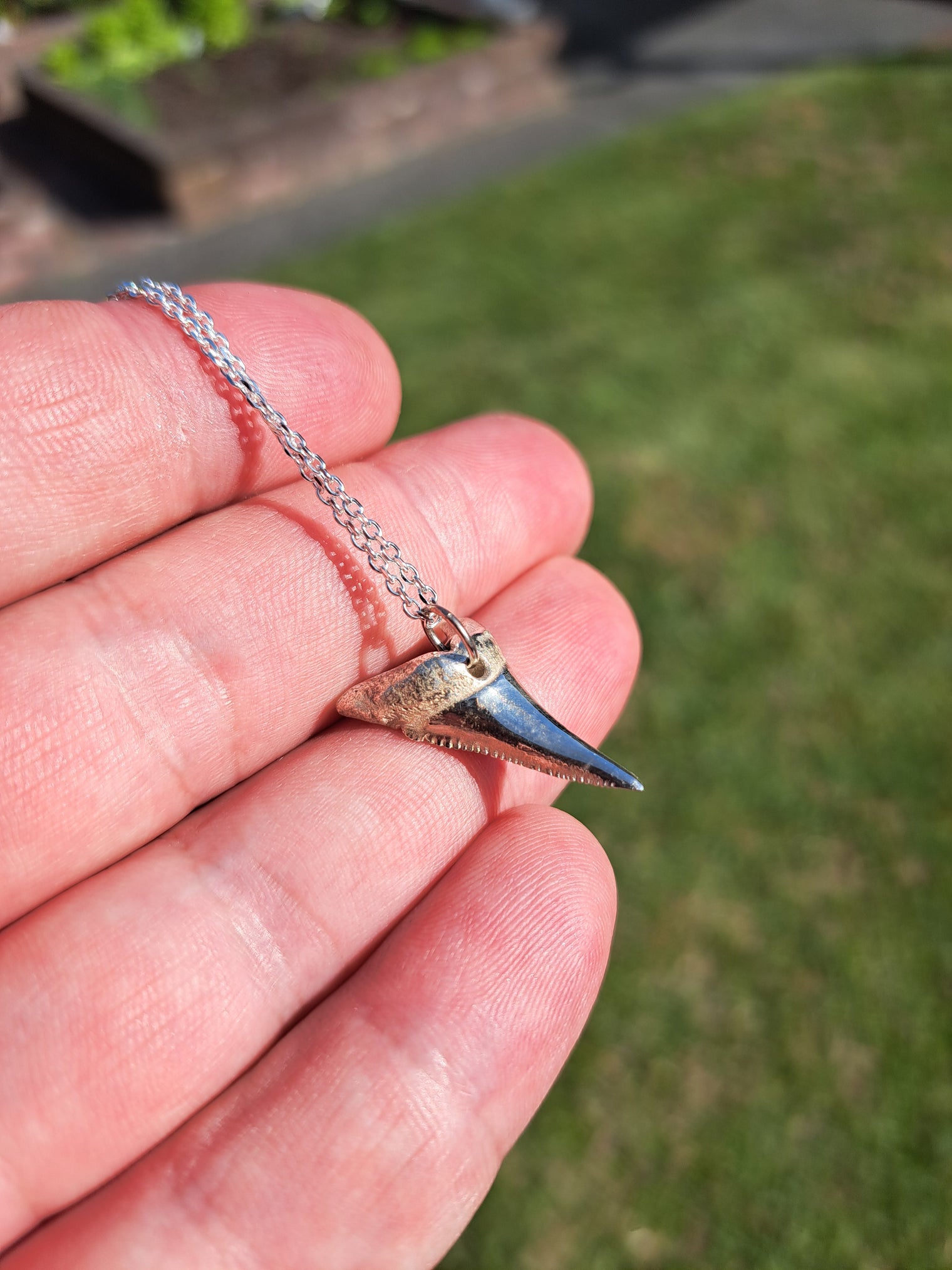Mako Shark Tooth Pendant