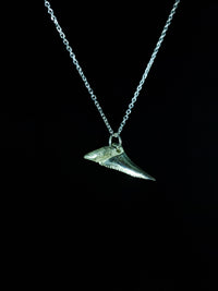 Mako Shark Tooth Pendant