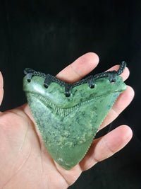 Megalodon Tooth - XL Pounamu