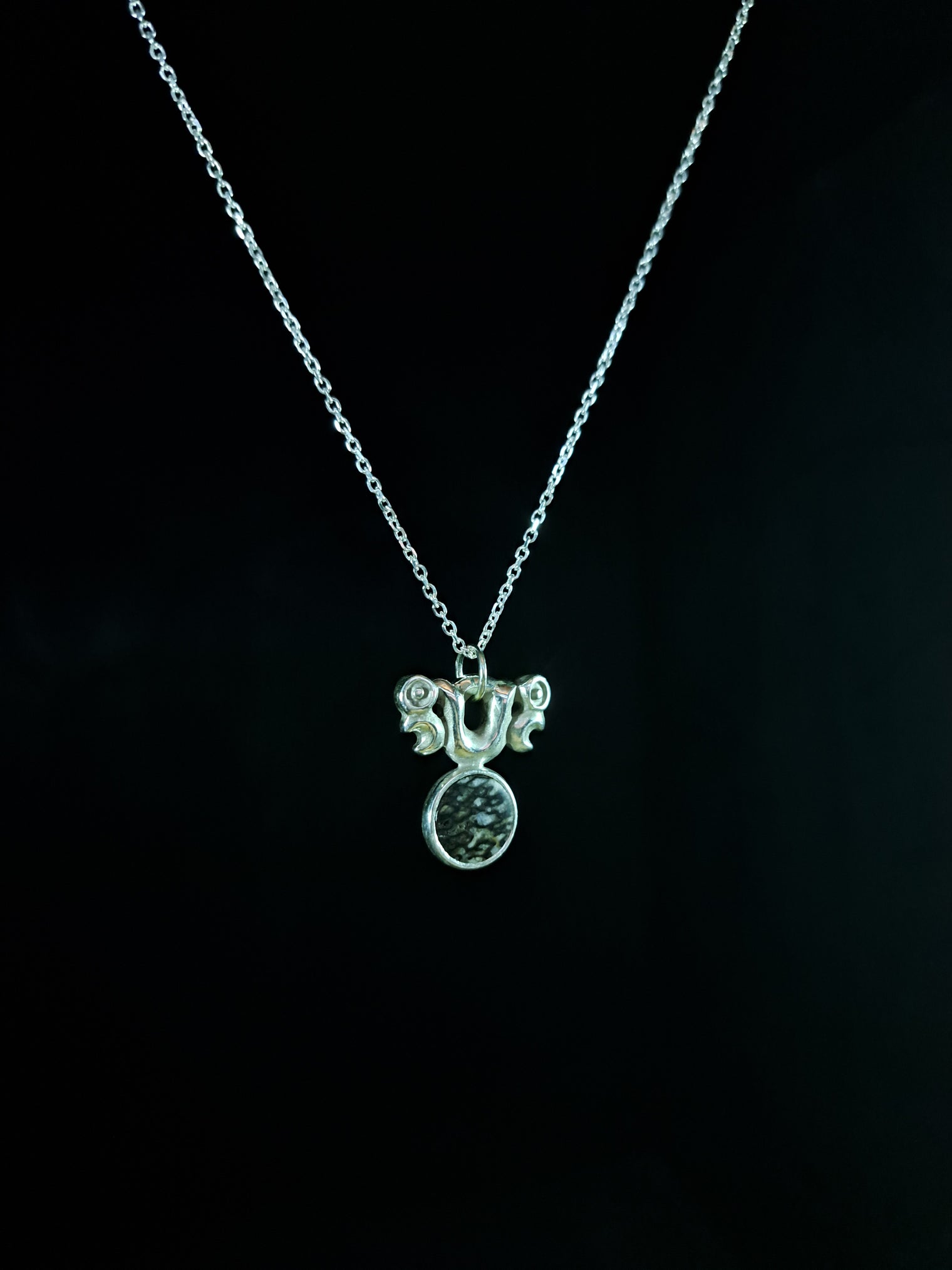 Silver Pekapeka - Dinosaur Bone Disc