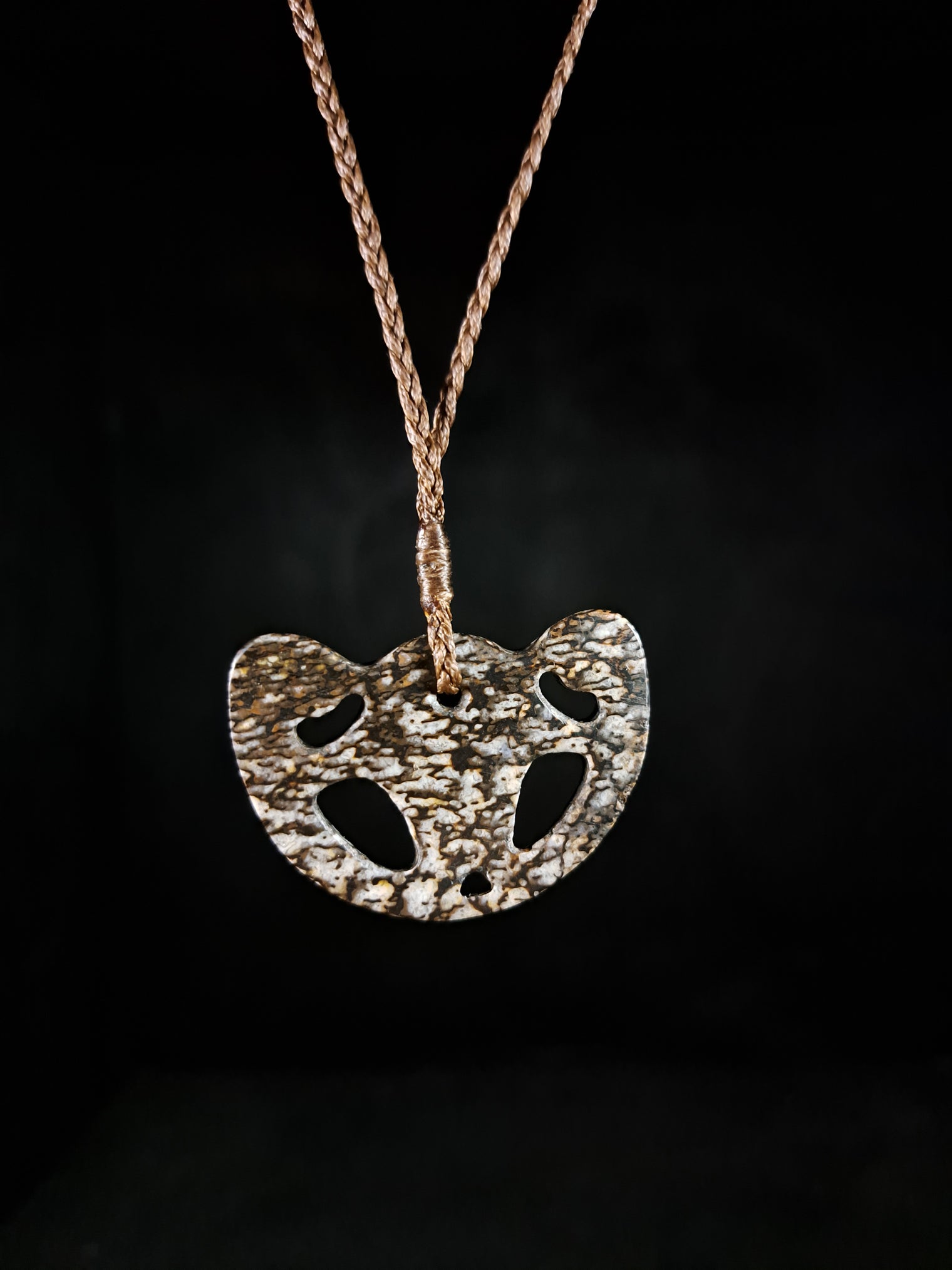 Kabutops Skull - Dinosaur Bone