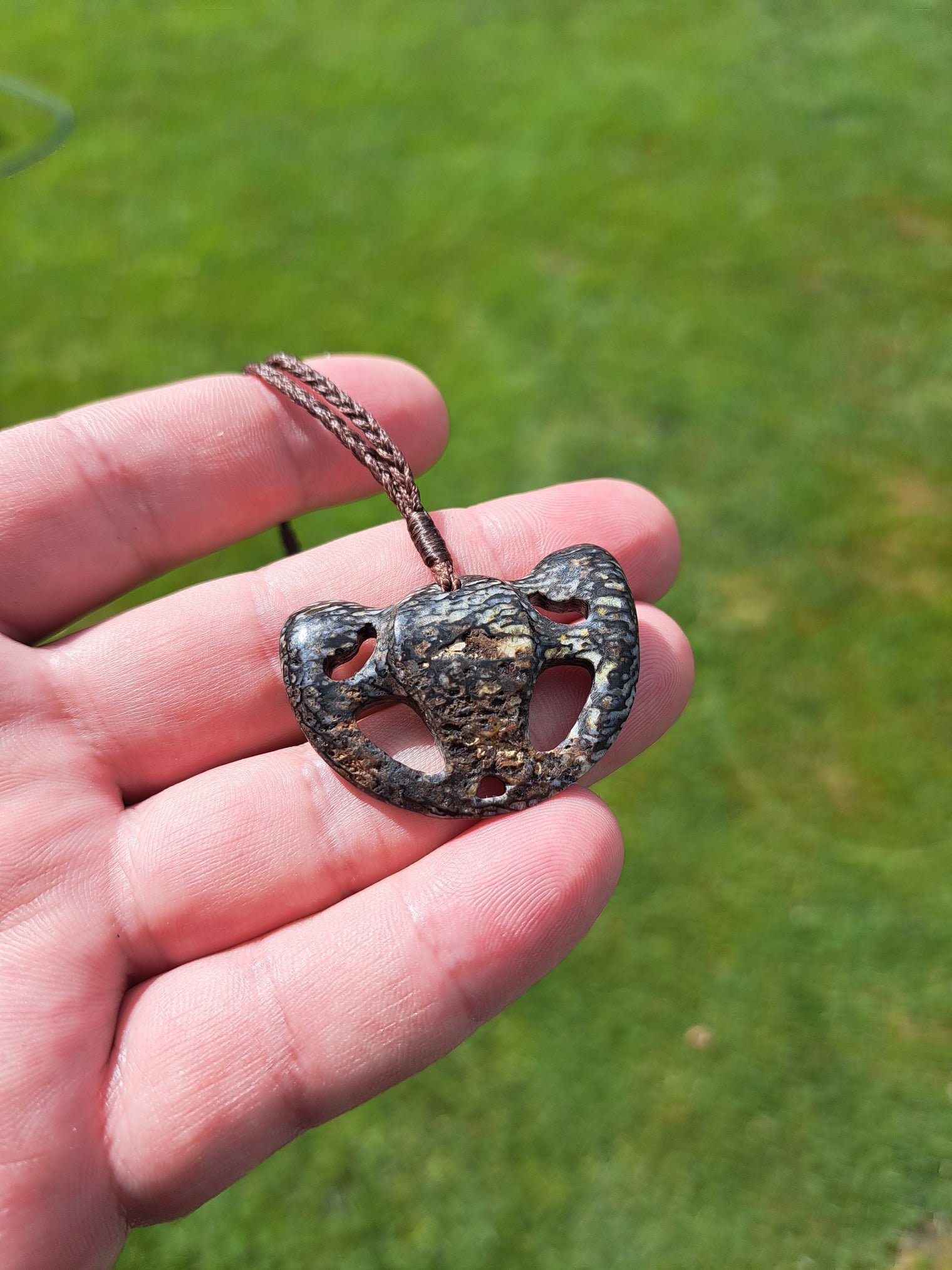 Kabutops Skull - Dinosaur Bone